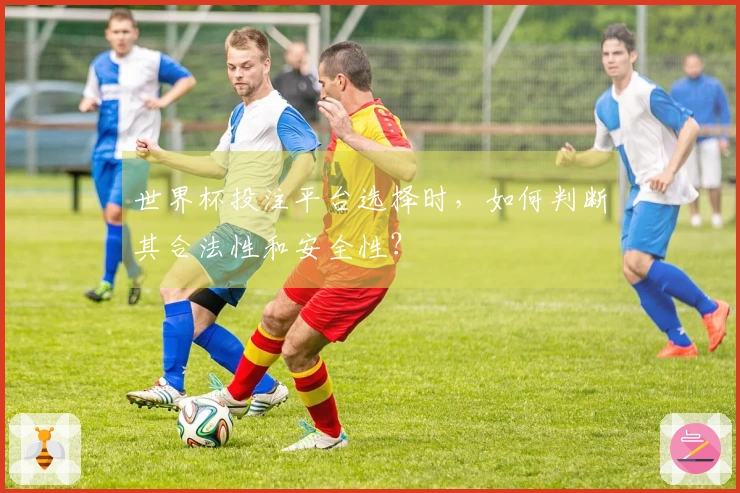 世界杯投注平台选择时，如何判断其合法性和安全性？