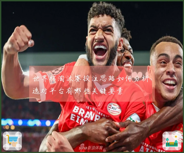 世界杯淘汰赛投注思路如何分析，选对平台有哪些关键要素
