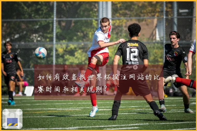 如何有效查找世界杯投注网站的比赛时间和相关规则？