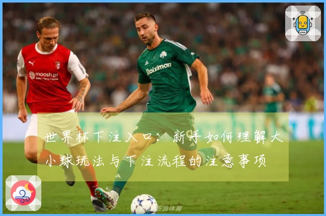 世界杯下注入口：新手如何理解大小球玩法与下注流程的注意事项