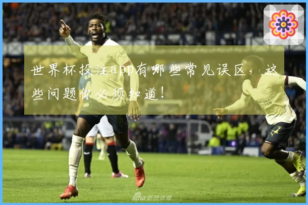 世界杯投注app有哪些常见误区，这些问题你必须知道！