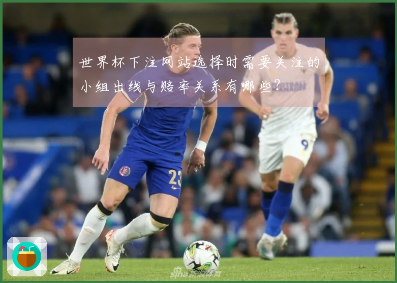 世界杯下注网站选择时需要关注的小组出线与赔率关系有哪些？