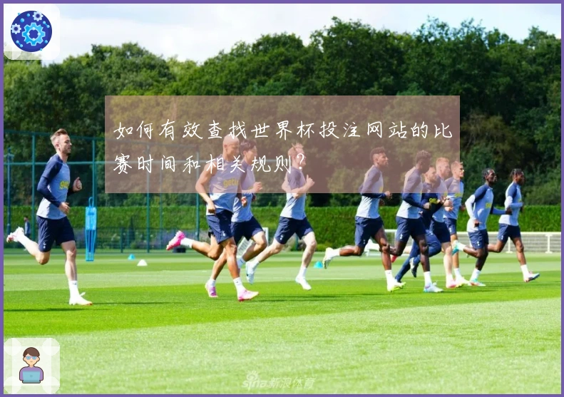如何有效查找世界杯投注网站的比赛时间和相关规则？